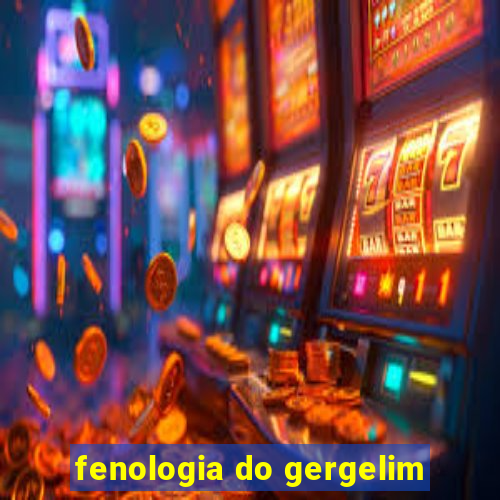 fenologia do gergelim